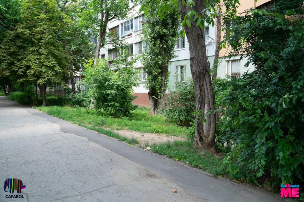 Снимок экрана 2018-07-17 в 10.08.01